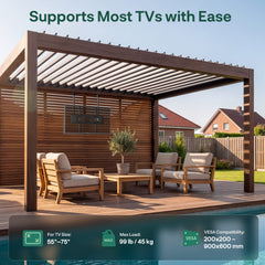 Outdoor TV Dual-Pole Ceiling Mount