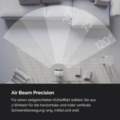 MEACO MeacoFan Sefte Tischventilator - 10 Luftumwälzer mit 12 Geschwindigkeiten - Horizontale und vertikale Oszillation - 3 Oszillationsbereiche -