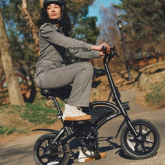 Electric Bike (eBike)