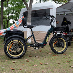 48V 14Ah 750W Foldable Fat Tire Electric Trike, 330-Lb. Capacity
