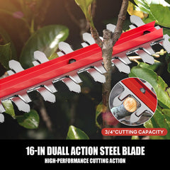 20V MAX Cordless Pole Hedge Trimmer, 2 x 2.0Ah Batteries and Charger Included