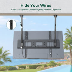 Outdoor TV Dual-Pole Ceiling Mount