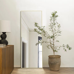 64x21 Full Length Floor Mirror, Large Full Body Aluminum Alloy Frame Standing Mirror with Stand and Wall Mount Option