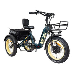 48V 14Ah 750W Foldable Fat Tire Electric Trike, 330-Lb. Capacity