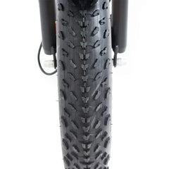 20 48V/14AH 750W Foldable Fat Tire Electric Trike, 330LBS