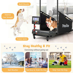 200 Lbs Dog Treadmill Pet Running Machine Indoor Pet Exercise Equipment With Remote Amp 14039039 Lcd Screen