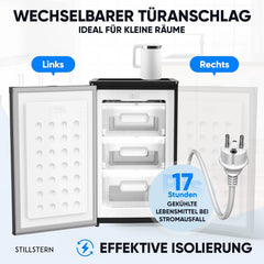 Stillstern Gefrierschrank C (73L) 4-Sterne-Gefrierfach -18°C ger. Energiever. Mini Freezer mit 3 Fächer, stufenlos reg. Temp., kleine Tiefkühltruhe,