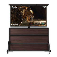 75" Cabinet + Cinema 75"(Full Sun)