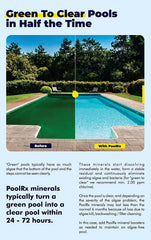 101067 Black Units Swimming-Pool-Algaecides (4 Pack), 20,000-30,000 Gallon