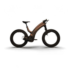 Hubless Electric Bike