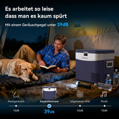 BINGI Kompressor Kühlbox 22L Mini Tragbarer Elektrischer Kühlschrank 12/24V DC Elektrischer Gefrierschrank Tragbarer Gefrierschrank für Auto LKW