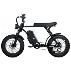 Electric Mountain Bike for Adults | 20 x 4.0 Fat Tires, 1000W Motor, 48V 20Ah Removable Battery, Max Speed 45MPH, Shi Mano 7-Speed for Off-Road Adventures