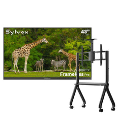 43" Outdoor TV(Google TV) - 2026 Frameless Pro Series