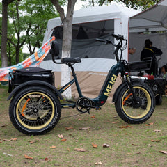 48V 14Ah 750W Foldable Fat Tire Electric Trike, 330-Lb. Capacity