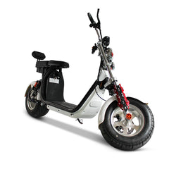 1500W Electric City Scooter, 40Ah Battery, 110 km Range, Road Homologated