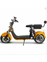 1500W Electric City Scooter, 40Ah Battery, 110 km Range, Road Homologated