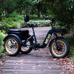48V 14Ah 750W Foldable Fat Tire Electric Trike, 330-Lb. Capacity