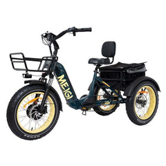 48V 14Ah 750W Foldable Fat Tire Electric Trike, 330-Lb. Capacity