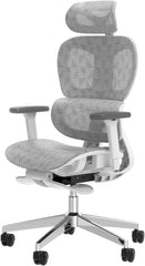 Ergonomic Office Chair – High Back Mesh Desk Chair with 3D Adjustable Armrests, Wheels, for Home and Office (Black)