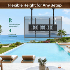 Outdoor TV Dual-Pole Ceiling Mount