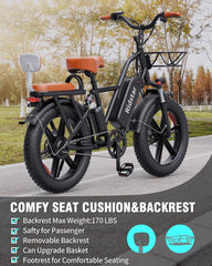 1000W Electric Bike for Adults, 48V 15Ah Removable Battery, 20-Inch x 4.0-Inch Fat Tires