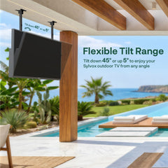 Outdoor TV Dual-Pole Ceiling Mount