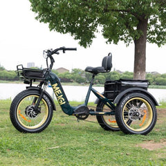 48V 14Ah 750W Foldable Fat Tire Electric Trike, 330-Lb. Capacity