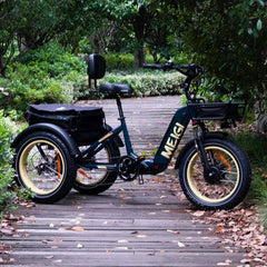 48V 14Ah 750W Foldable Fat Tire Electric Trike, 330-Lb. Capacity
