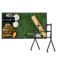 65" Outdoor TV(Google TV) - 2026 Deck Pro 3.0