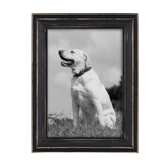 10-Piece Wood Gallery Wall Picture Frame Set, Decorative Photo Display Frames for Living Room, Bedroom and Home Decor