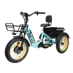 48V 14Ah 750W Foldable Fat Tire Electric Trike, 330-Lb. Capacity