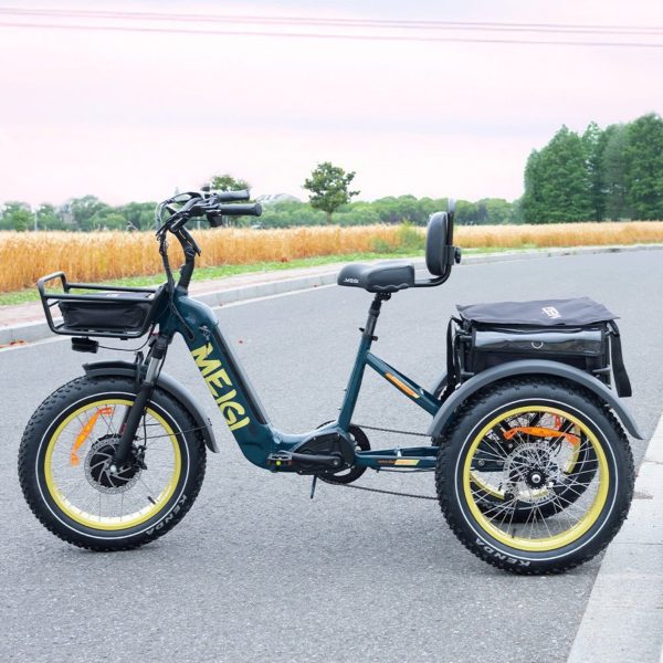 48V 14Ah 750W Foldable Fat Tire Electric Trike, 330-Lb. Capacity