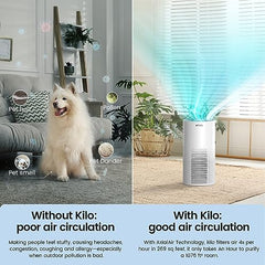 Afloia Air Purifiers for Home Large Room Up to 1076 Ft虏, H13 True HEPA Air Purifiers for Bedroom