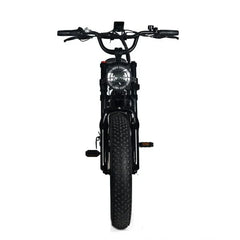 Electric Mountain Bike for Adults | 20 x 4.0 Fat Tires, 1000W Motor, 48V 20Ah Removable Battery, Max Speed 45MPH, Shi Mano 7-Speed for Off-Road Adventures